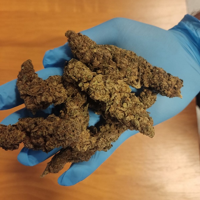 Tymczasowy areszt dla 30-latka za uprawę i wytworzenie znacznej ilości narkotyków oraz ich posiadanie