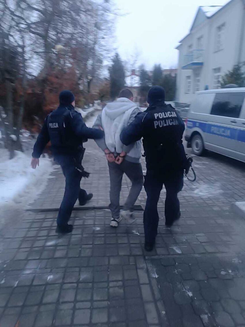 Tymczasowy areszt za znęcanie się nad matką
