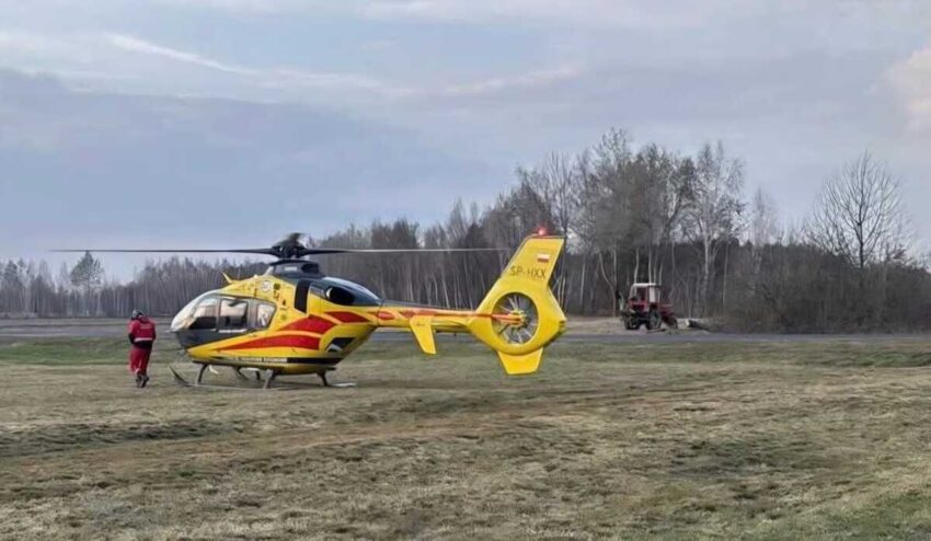 Wypadek przy wycince drzewa