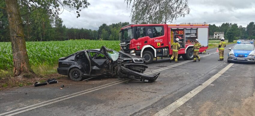 Uderzył skodą w drzewo - 21-latek trafił do szpitala